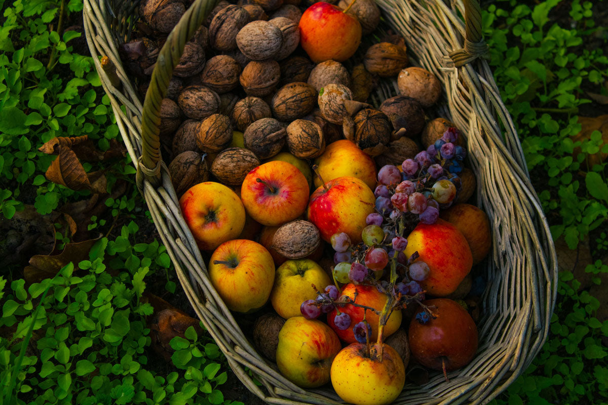 Savoring Autumn: One Gut-Friendly Bite at a Time