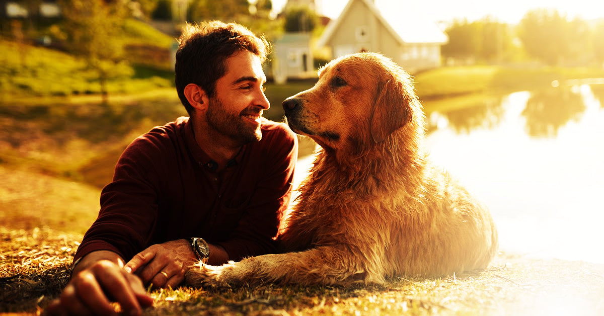 Fall Wellness Reset: Gut Health, Sleep, and Staying in Rhythm