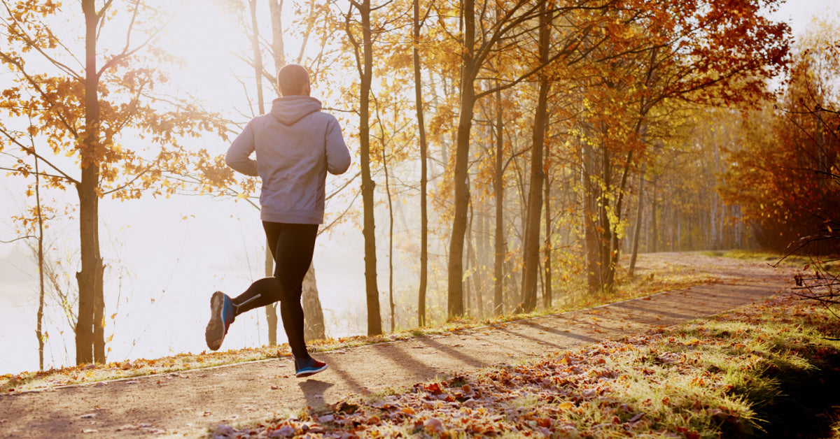 Prepare for Cold & Flu Season: What Studies Show About Gut and Immune Health