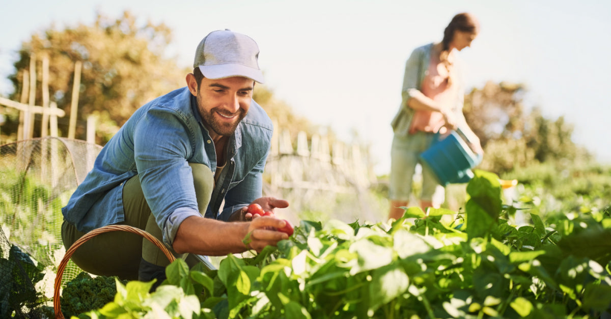 Embracing Homegrown Wellness: Growing a Healthier Garden and a Healthier You