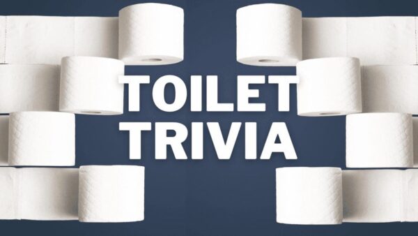 November 19 is World Toilet Day