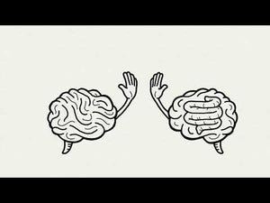 The important relationship between gut and brain health - video