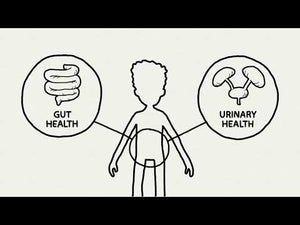 SunCran: The superfood for urinary and digestive health - Video